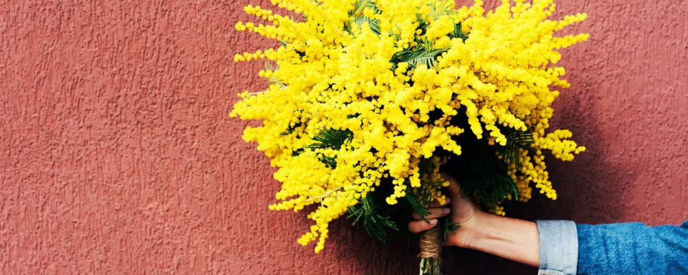 Qual’è il senso della festa della donna?